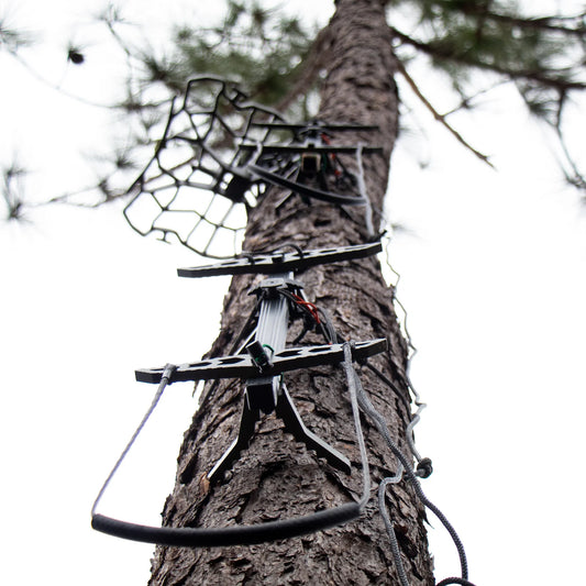 1/8" AmSteel Aider by HangFree