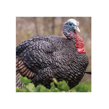 Primo Lil Gobstopper Jake Turkey Decoy