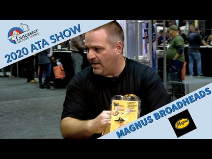 Magnus Black Hornet 2 Blade Broadheads